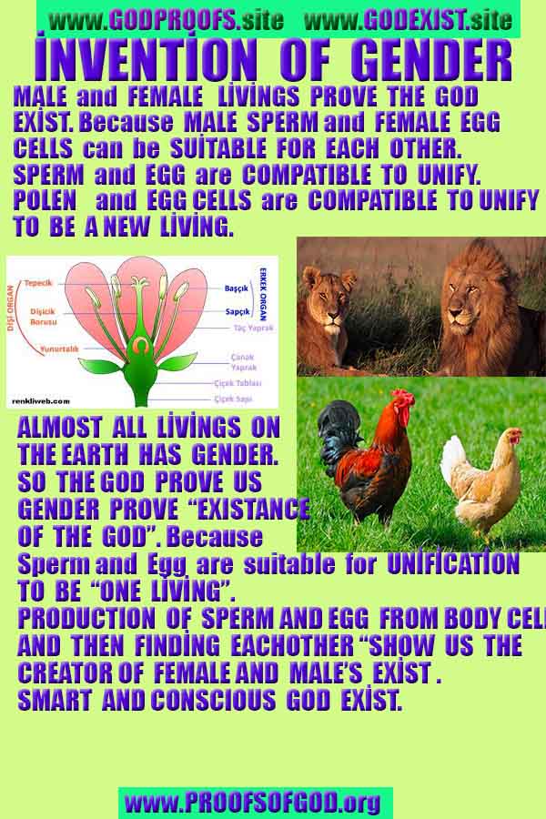 Proofs and Evidences of God, Proofs of God, Evidences of God exists
