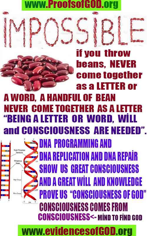 Proofs and Evidences of God, Proofs of God, Evidences of God exists
