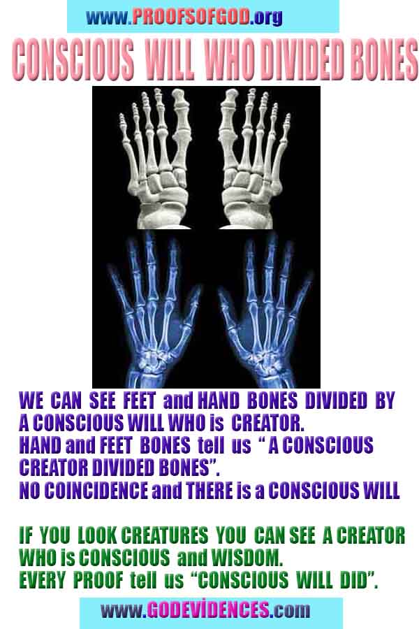 Proofs and Evidences of God, Proofs of God, Evidences of God exists