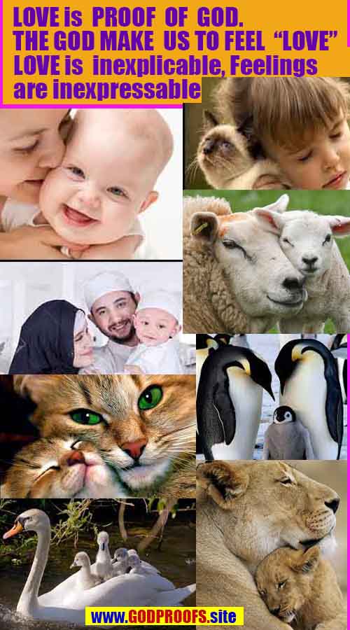 Proofs and Evidences of God, Proofs of God, Evidences of God exists