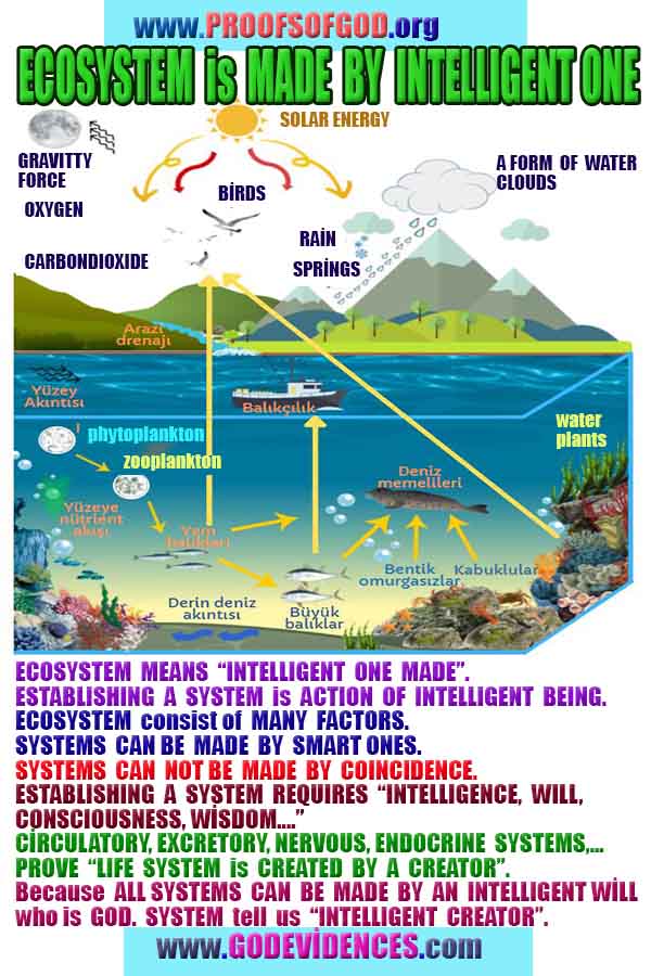 Proofs and Evidences of God, Proofs of God, Evidences of God exists