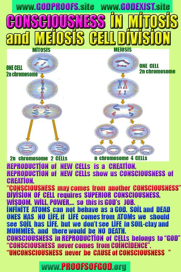 Proofs and Evidences of God, Proofs of God, Evidences of God exists