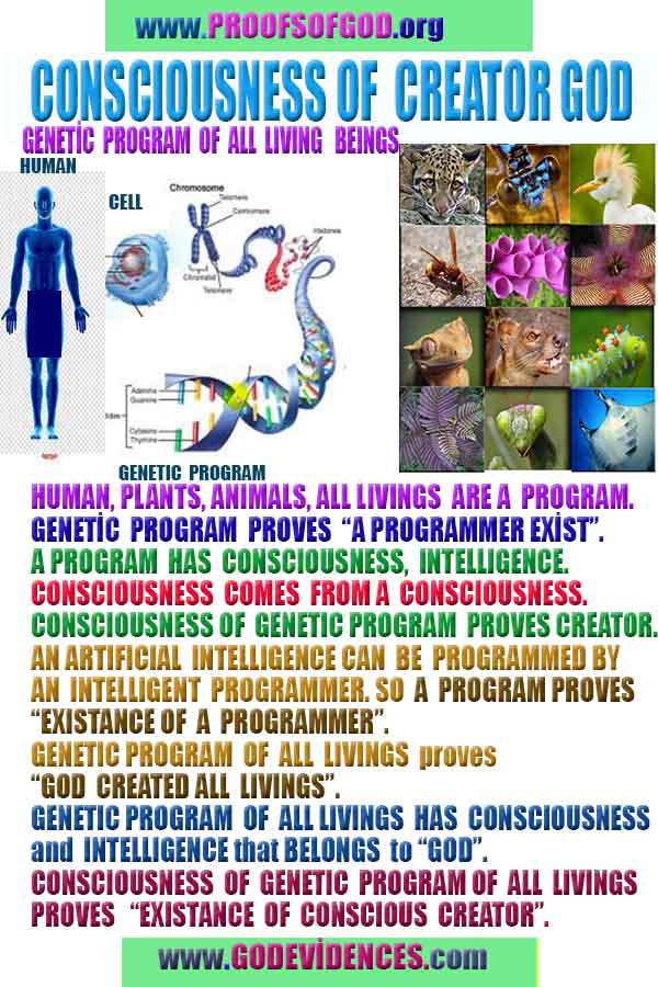 Proofs and Evidences of God, Proofs of God, Evidences of God exists