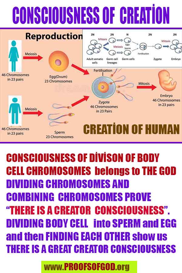 Proofs and Evidences of God, Proofs of God, Evidences of God exists