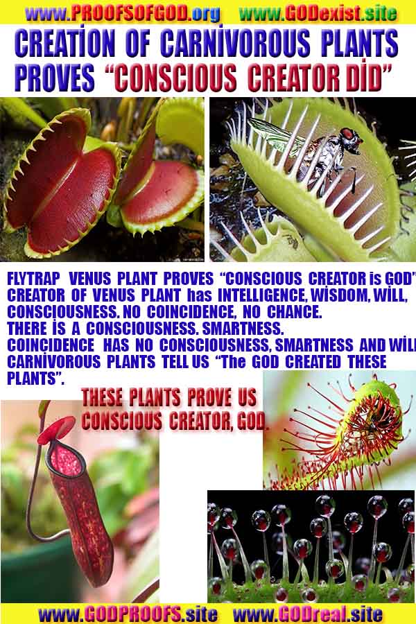 Proofs and Evidences of God, Proofs of God, Evidences of God exists