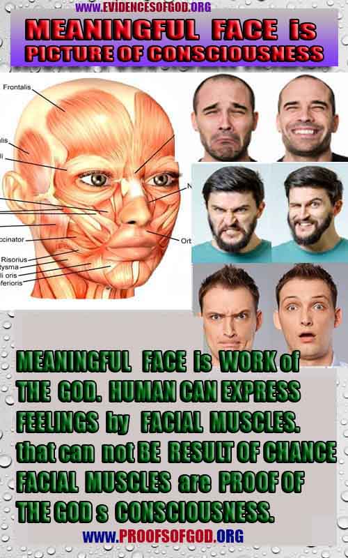 Proofs and Evidences of God, Proofs of God, Evidences of God exists