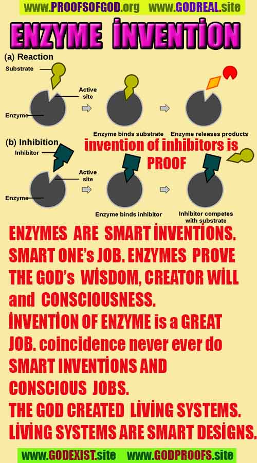 Proofs and Evidences of God, Proofs of God, Evidences of God exists