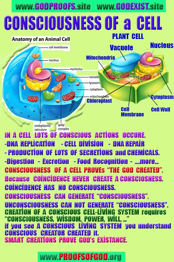 Proofs and Evidences of God, Proofs of God, Evidences of God exists