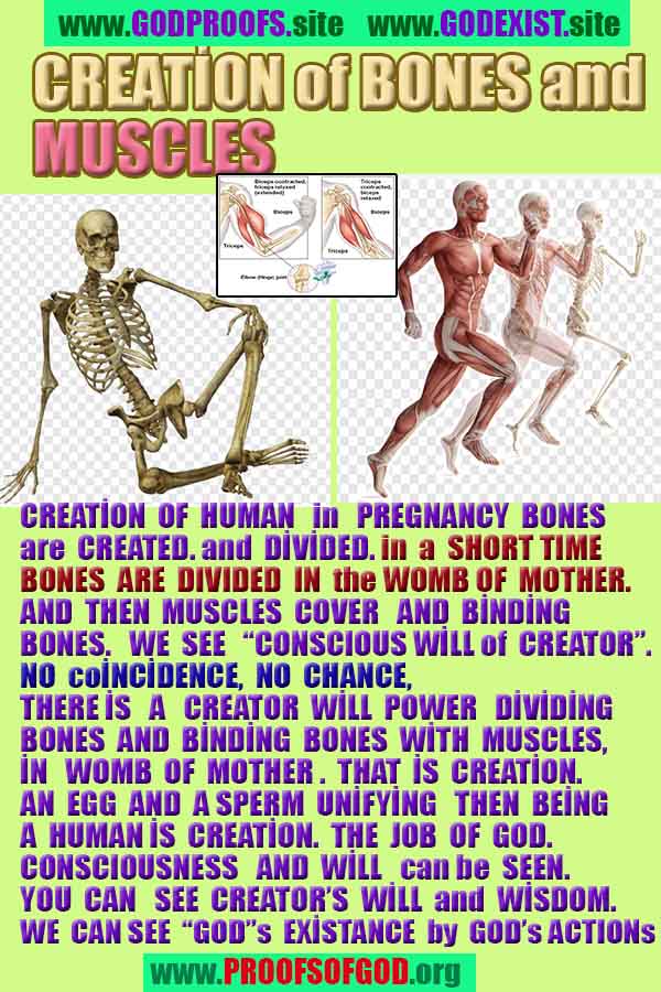 Proofs and Evidences of God, Proofs of God, Evidences of God exists