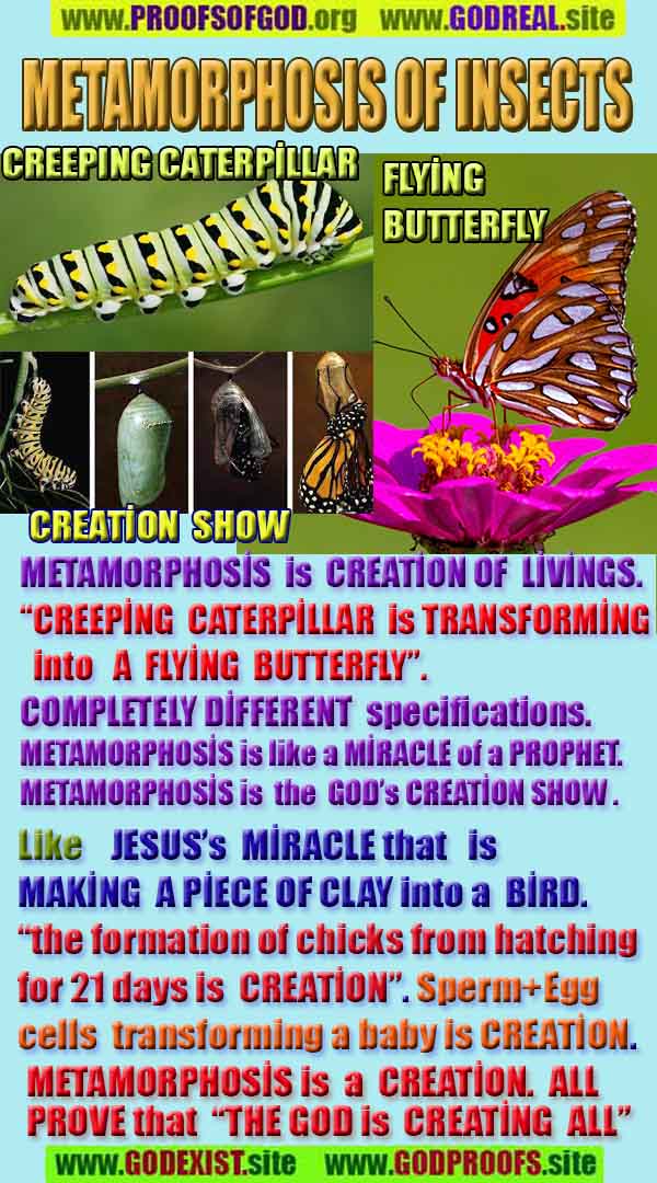 Proofs and Evidences of God, Proofs of God, Evidences of God exists