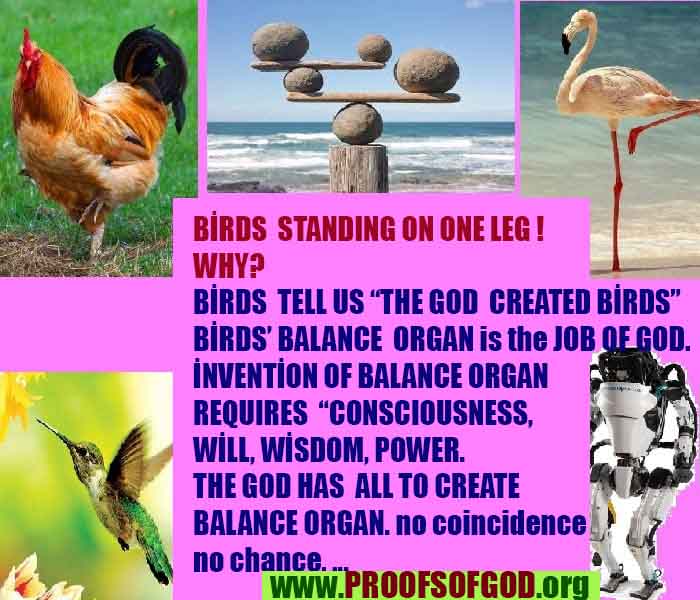 Proofs and Evidences of God, Proofs of God, Evidences of God exists