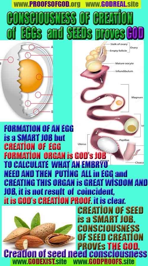 Proofs and Evidences of God, Proofs of God, Evidences of God exists