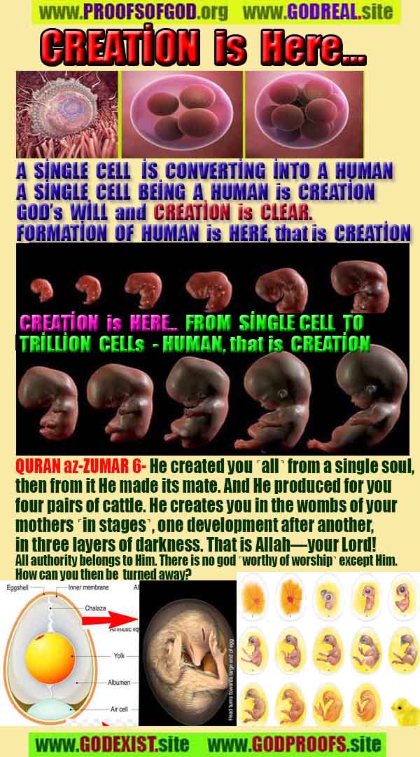 Proofs and Evidences of God, Proofs of God, Evidences of God exists