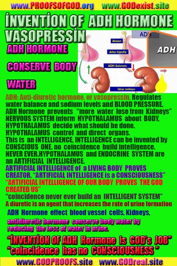 Proofs and Evidences of God, Proofs of God, Evidences of God exists
