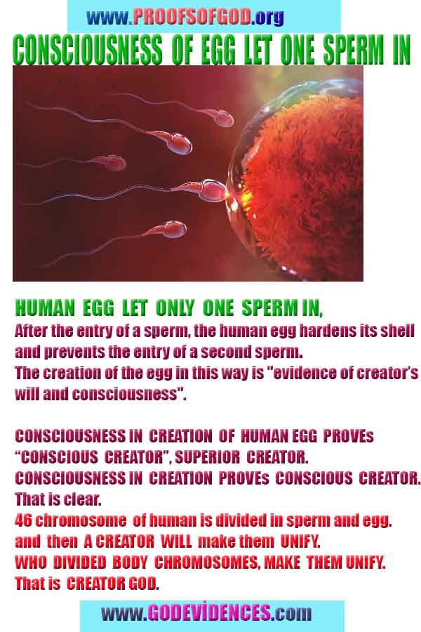 Proofs and Evidences of God, Proofs of God, Evidences of God exists