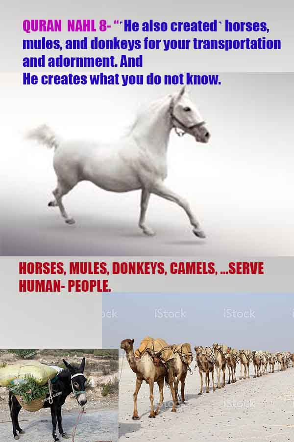 Proofs and Evidences of God, Proofs of God, Evidences of God exists