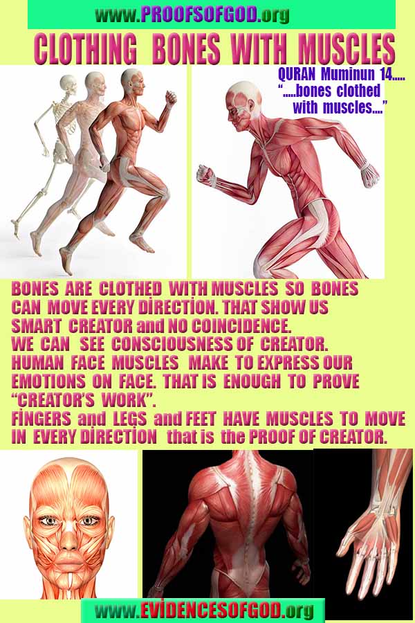 Proofs and Evidences of God, Proofs of God, Evidences of God exists