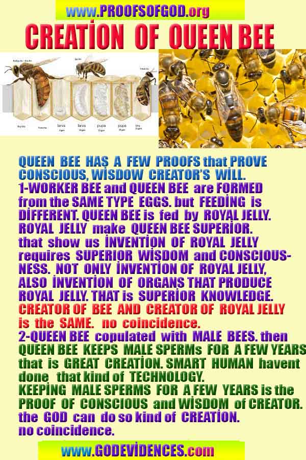 Proofs and Evidences of God, Proofs of God, Evidences of God exists