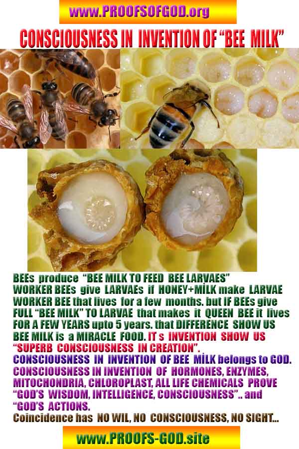Proofs and Evidences of God, Proofs of God, Evidences of God exists