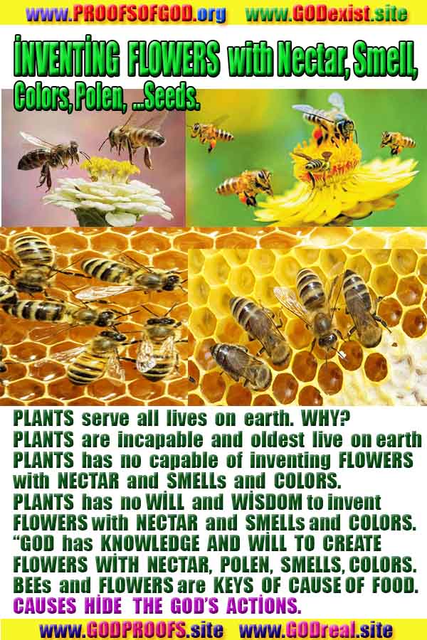 Proofs and Evidences of God, Proofs of God, Evidences of God exists